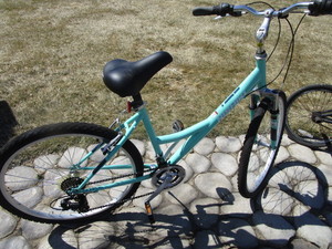Nishiki Tamarack Bicycle