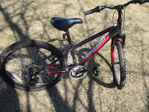 Nishiki Pueblo 24 Bicycle