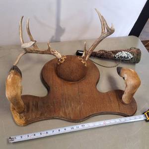 Vintage Mount - White tail deer rack with hoofed Gun Rack � 2 ft wide