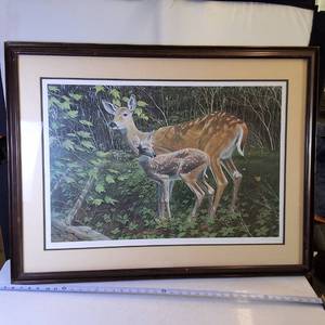 Large Framed Numbered Print by JB Williams Deer and Fawn