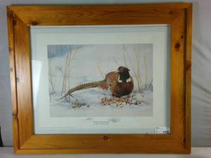 Pheasant in a Framed Print Close Encounter by Vicki Geretschlager