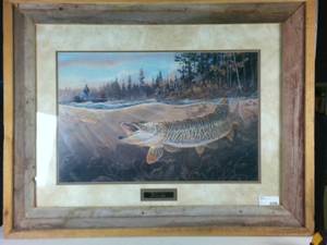 Nice Framed Print  Muskie Bay by Terry Doughty