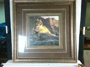 Large Framed Print Smith Cougar