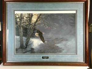 Framed Print Awakening Bald Eagle - by Persis Clayton Weirs