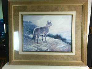 Nice Framed Print of a Wolf Beautifully Framed and Matted