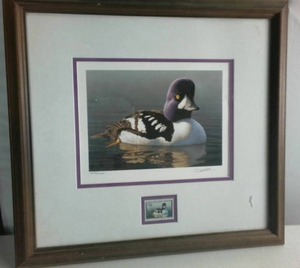 Gorgeous Vintage Minnesota State Waterfowl Stamp Art Print from 1989
