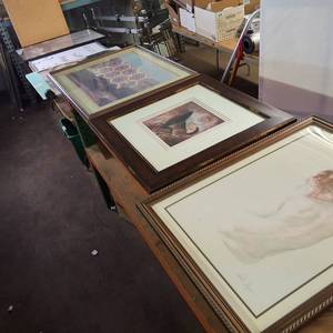 MEGA LOT   Framed Prints and Posters