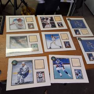 MEGA LOT   Collector cards (framed and numbered) Authenticated Pedro Martinez and more