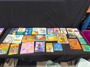 Lot of 27 Childrens Books