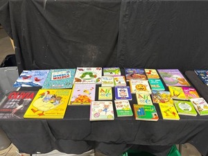 Lot of 26 Childrens Books