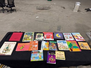 Lot of Childrens Books