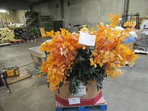 Pallet of Store Overstock and Ecommerce Product and Returns