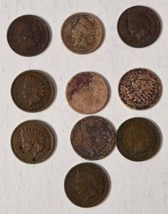 10 Indian Head Pennies - Range from 1900-1907