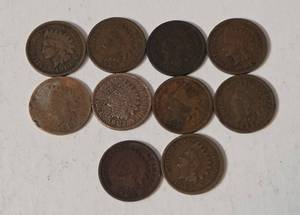 10 Indian Head Pennies - Range from 1900-1907