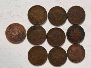 10 Indian Head Pennies - Range from 1898-1907