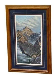 Framed Vintage Eagle Print