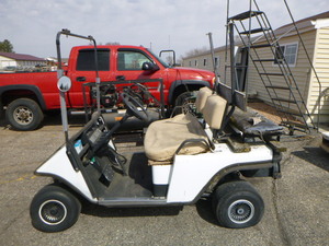 EX-Go Golf Cart