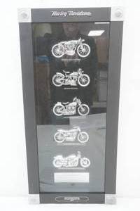 Holiday Hertiage Collection Harley Davidson , Apols Harley Davidson , Alexanderia Raymond MN 2009 , 12 x25 ,