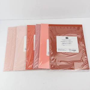 Stampin Up In Color 2019-2021 Cardstock Pack - 24 Sheets (8.5 x 11) - Pink Tones