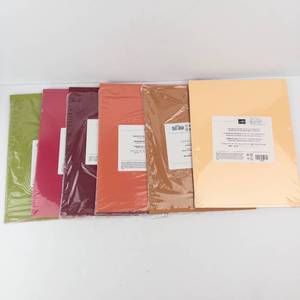 Stampin Up 2021-2023 In Color Cardstock 8.5 x 11, 24 Sheets (4 per Color)