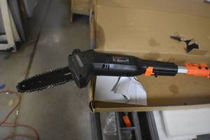 WEN 4019 6-Amp 8-Inch Electric Telescoping Pole Saw