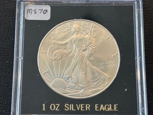 1996 Silver Eagle