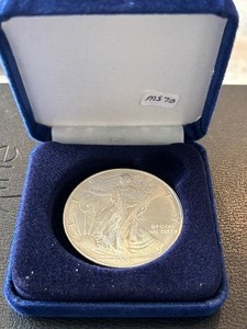 1995 Silver Eagle