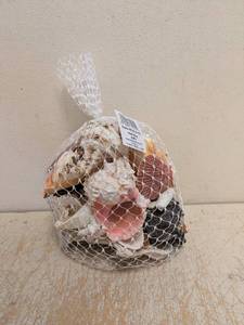 NEW SEASHELLS MD & LG MIX MESH BAG NATURAL COLOR