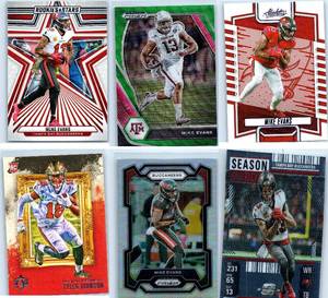 Mike Evans - 2020 Chronicles, 2021 Prizm, 2023 Absolute, 2023 Prizm, 2024 Optic, 2024 Rookies & Stars