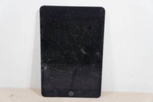 Apple iPad Mini 5th Generation 256GB