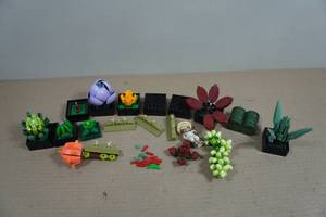 Lego Botanicals Succulents
