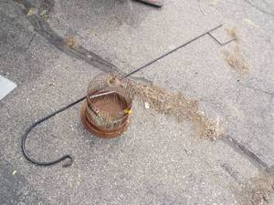 Metal Garden Shepard Pole with Bird Cage