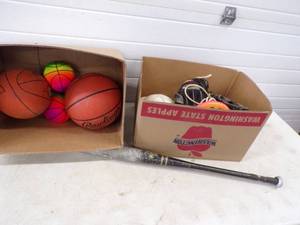 Sports Fun Lot,  Basketballs, Volley Ball and more