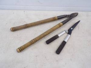 Pruner and hedge trimmer