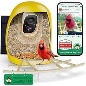 HIXX� Smart Bird Feeder with Camera, Birdwatching Camera AI Identify Bird Solar