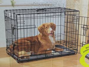 Wire Collapsible Dog Crate - M - Black - Boots & Barkley