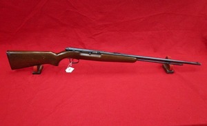 Remington Arms 550 22LR Rifle