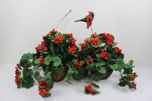 Pair of Red Geranium Plant in Wicker Basket with Cardinal Bird Figurine 9.5L