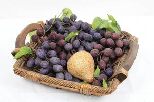 Grapes in Woven Basket- 1 in Diameter Per Berry, Mixed Purple Table Grapes 14 x 11.5