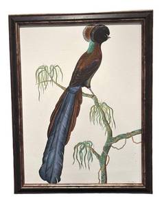 LL - Tobias Hobson Original Watercolor Painting, Framed