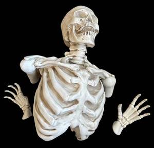 G - Skeleton Bust with Hands - Wall-Hanging Resin Sculpture