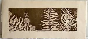 K - Ferns and Fiddleheads by Tallmadge Doyle Signed and Numbered (1017 Ed. Var) Line Etching & Aquatint