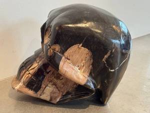 Petrified Wood Skull Sculpture - Indonesia