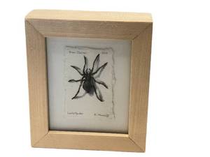 KP - Katie Musloff Lady Spider - River Journal (2014) Original Art