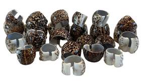 LR - Leopard Print Shell Napkin Rings Set - Animal Print