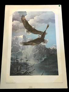 LR - Eagle Unframed Print 25x38 - As Free As The Wind
