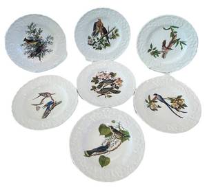 DR - (7) Alfred Meakin England Bird Plates - Audubon Birds of America Reproduction