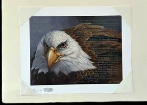 DR - Fernndez Limited Editions American Bald Eagle Print We the People