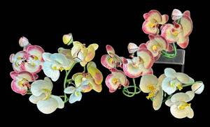 DR - Enamel Orchid Napkin Rings - Floral, Colorful Set