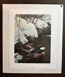 LR - Robert Bateman Hooded Mergansers in Winter Print - 254950